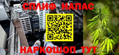 ГАЛЛЮЦИНОГЕННЫЕ ГРИБЫ Пугачёв