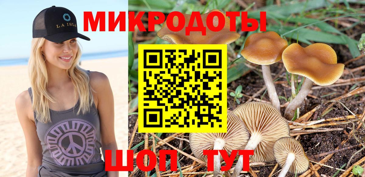 Псилоцибиновые грибы Печора