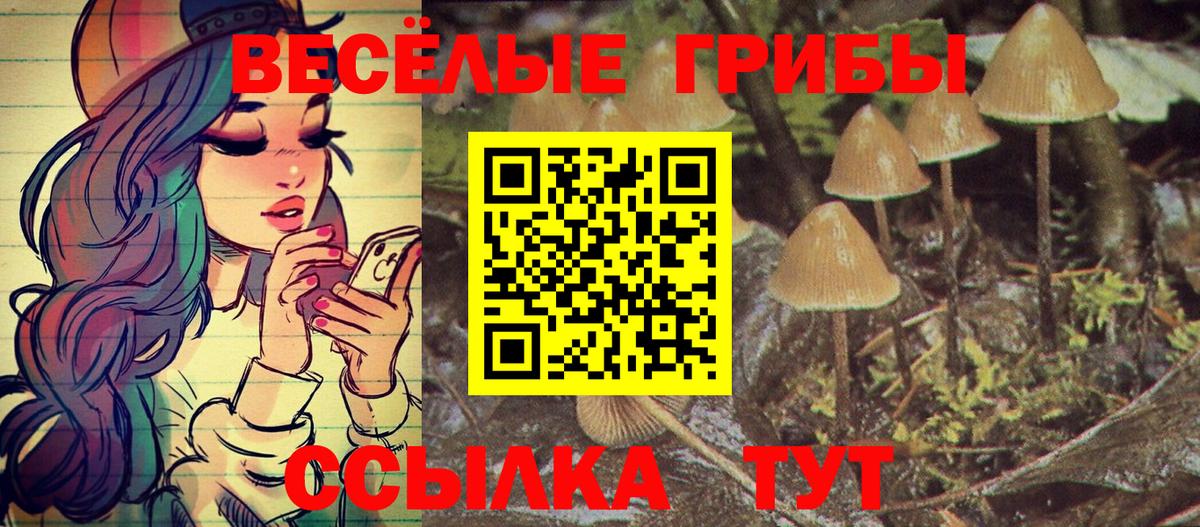 Галлюциногенные грибы ЛСД Печора