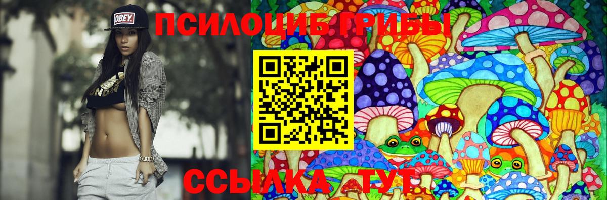 Печора  Галлюциногенные грибы Psilocybe  Вход с VPN 